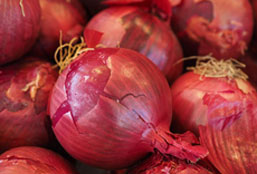 自动化运维的ddos在线攻击工具