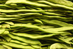 攻击网站的方法