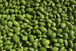 CC在线压力测试