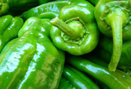 攻击网站的方法