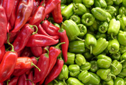 攻击网站的方法